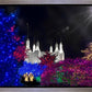 Washington DC Temple Christmas Spirit