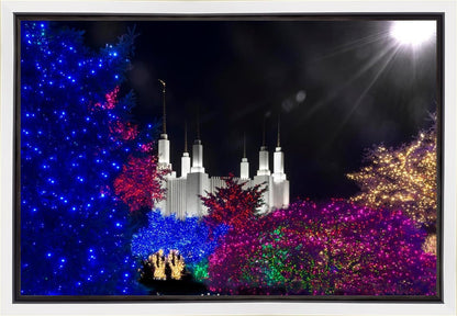Washington DC Temple Christmas Spirit
