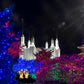 Washington DC Temple Christmas Spirit