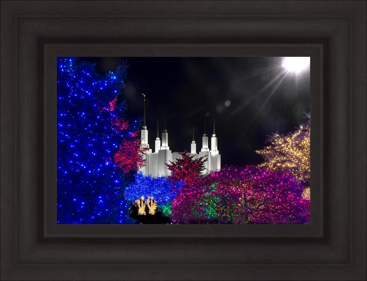 Washington DC Temple Christmas Spirit