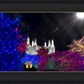 Washington DC Temple Christmas Spirit