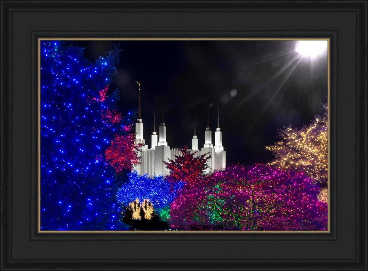Washington DC Temple Christmas Spirit