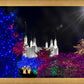 Washington DC Temple Christmas Spirit