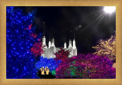 Washington DC Temple Christmas Spirit