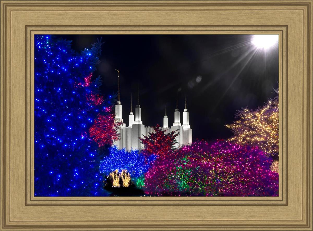Washington DC Temple Christmas Spirit