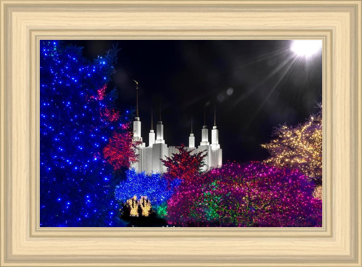 Washington DC Temple Christmas Spirit