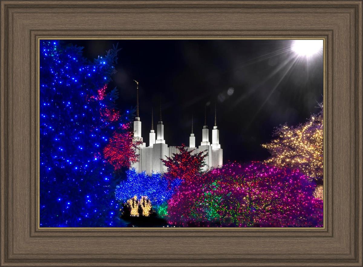 Washington DC Temple Christmas Spirit