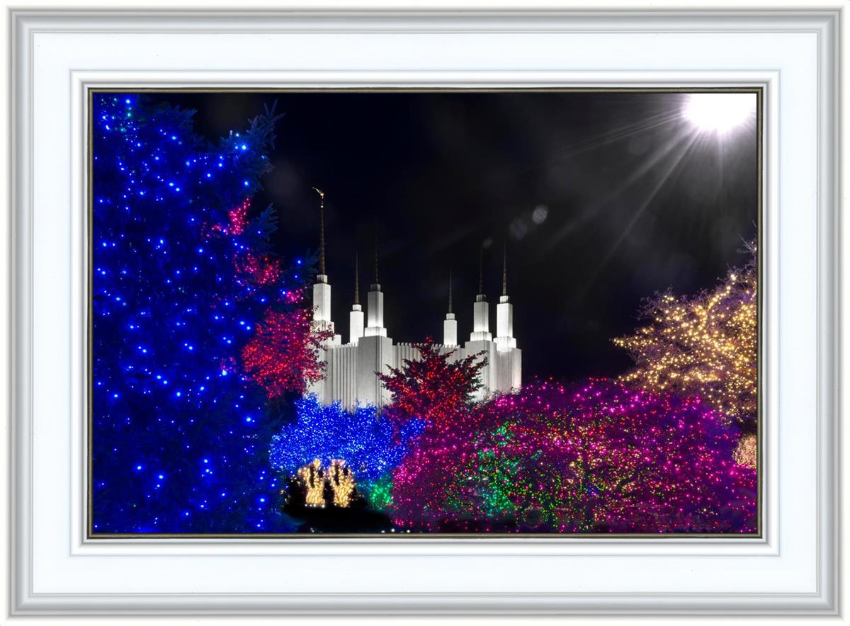 Washington DC Temple Christmas Spirit