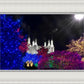 Washington DC Temple Christmas Spirit