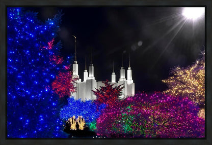 Washington DC Temple Christmas Spirit