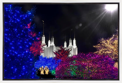 Washington DC Temple Christmas Spirit