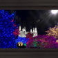 Washington DC Temple Christmas Spirit