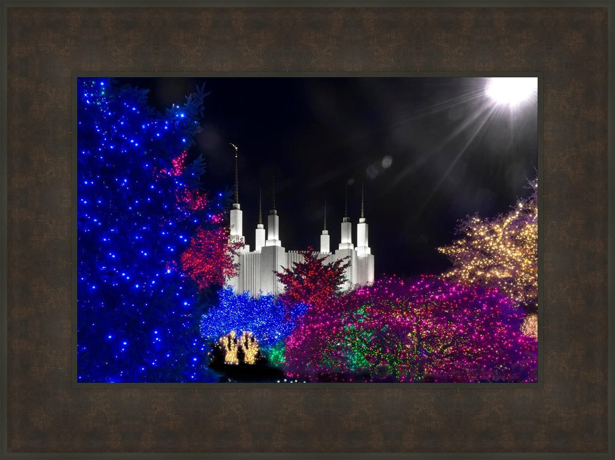 Washington DC Temple Christmas Spirit