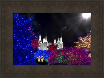 Washington DC Temple Christmas Spirit