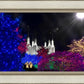 Washington DC Temple Christmas Spirit