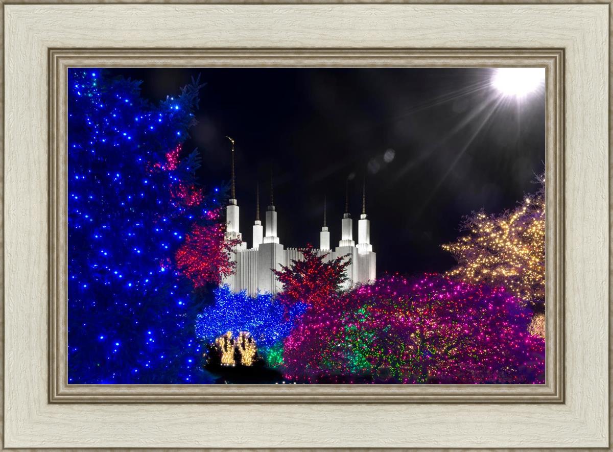 Washington DC Temple Christmas Spirit