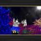Washington DC Temple Christmas Spirit