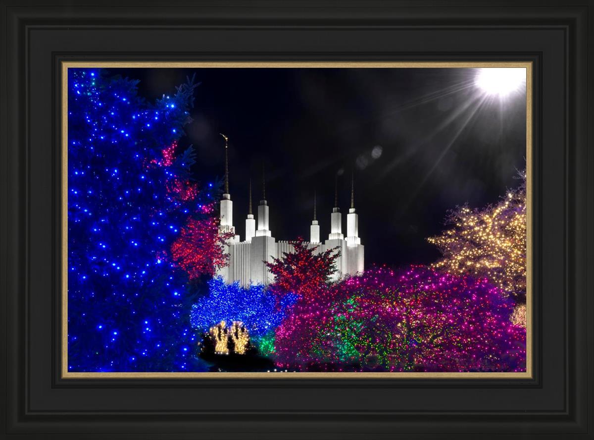 Washington DC Temple Christmas Spirit