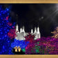 Washington DC Temple Christmas Spirit
