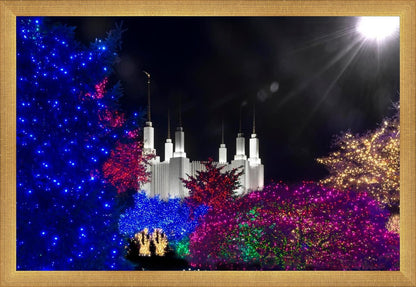 Washington DC Temple Christmas Spirit