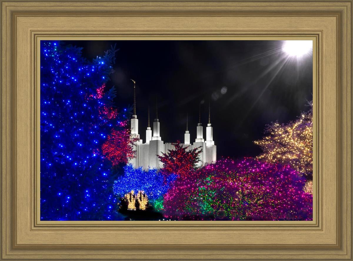 Washington DC Temple Christmas Spirit