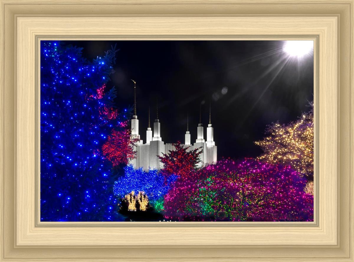 Washington DC Temple Christmas Spirit
