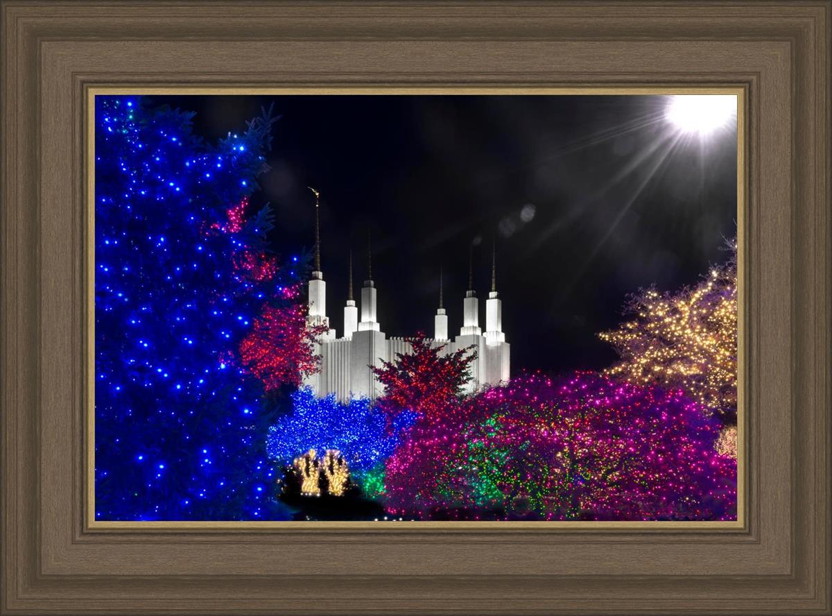 Washington DC Temple Christmas Spirit