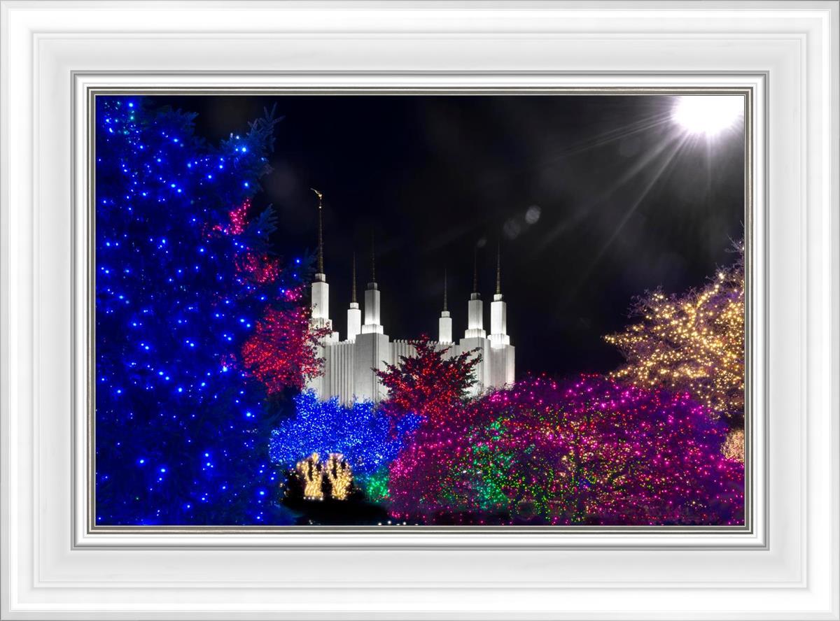 Washington DC Temple Christmas Spirit