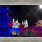 Washington DC Temple Christmas Spirit