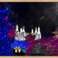 Washington DC Temple Christmas Spirit