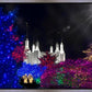 Washington DC Temple Christmas Spirit