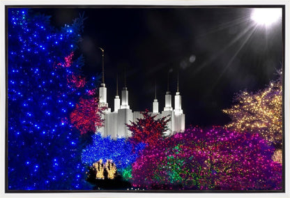 Washington DC Temple Christmas Spirit