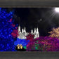 Washington DC Temple Christmas Spirit