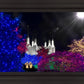 Washington DC Temple Christmas Spirit