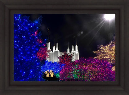 Washington DC Temple Christmas Spirit