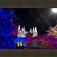 Washington DC Temple Christmas Spirit