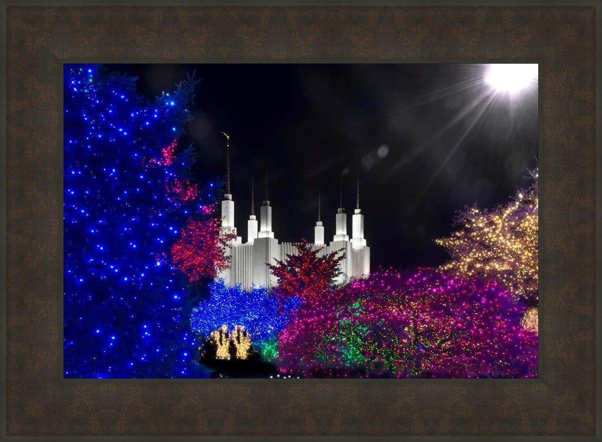 Washington DC Temple Christmas Spirit