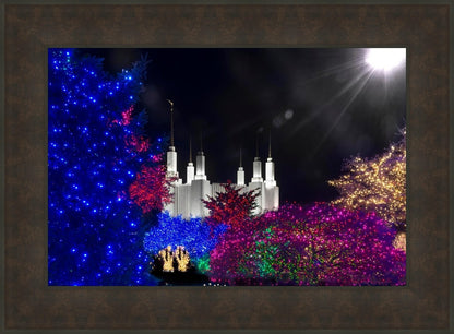 Washington DC Temple Christmas Spirit