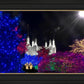 Washington DC Temple Christmas Spirit
