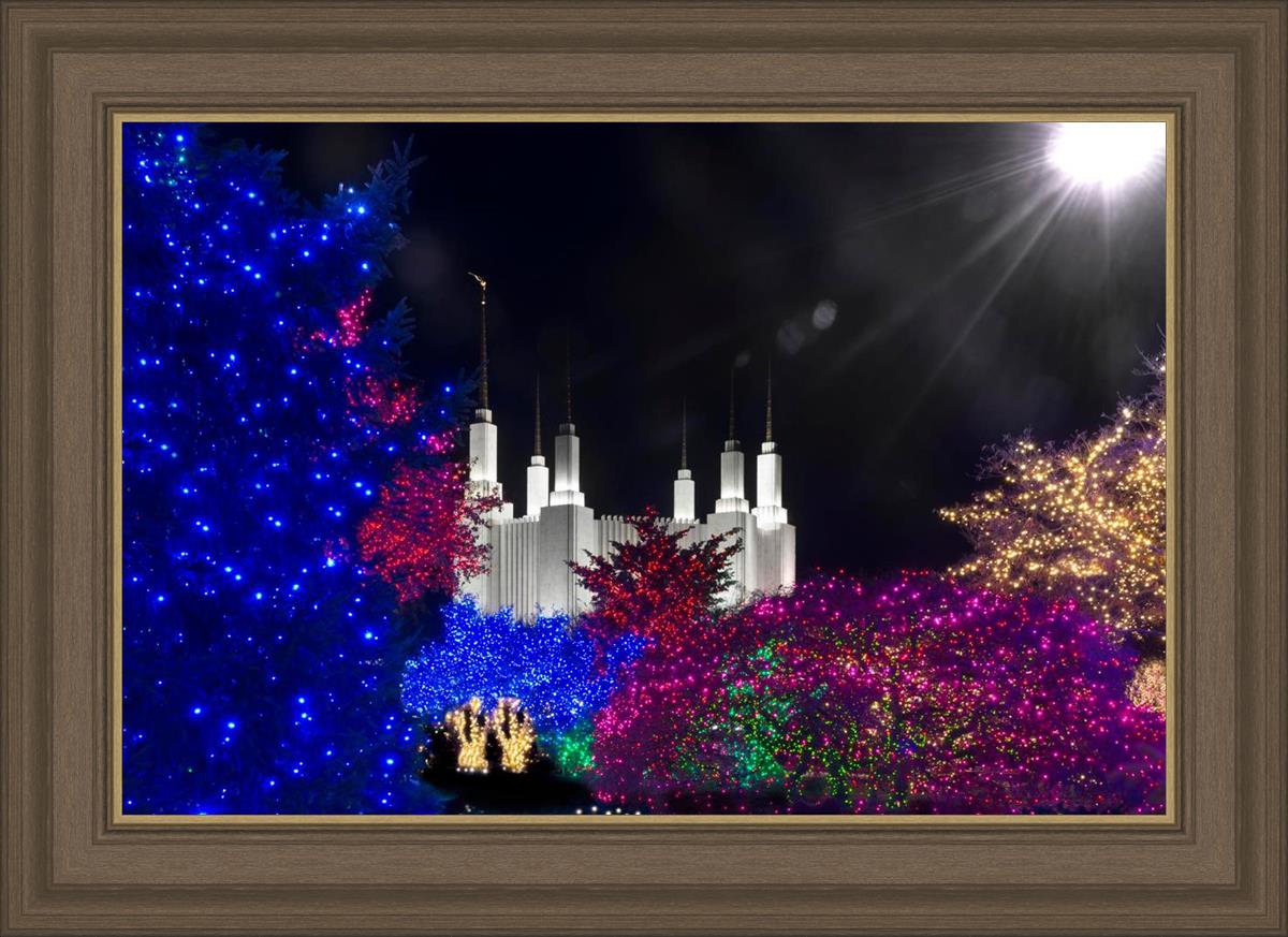 Washington DC Temple Christmas Spirit