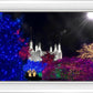 Washington DC Temple Christmas Spirit