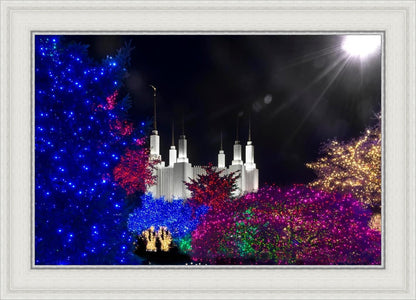 Washington DC Temple Christmas Spirit