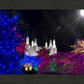 Washington DC Temple Christmas Spirit