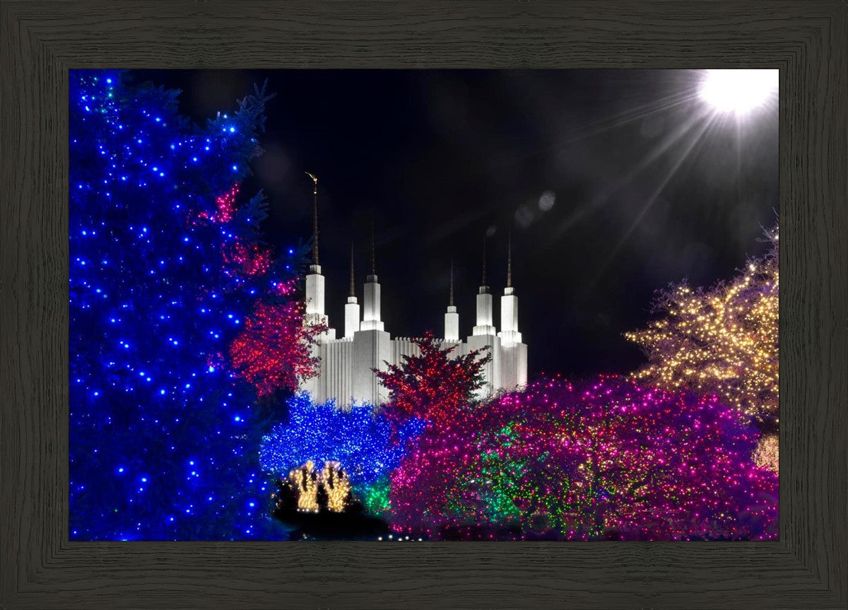 Washington DC Temple Christmas Spirit