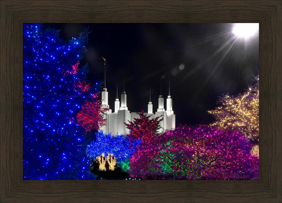 Washington DC Temple Christmas Spirit
