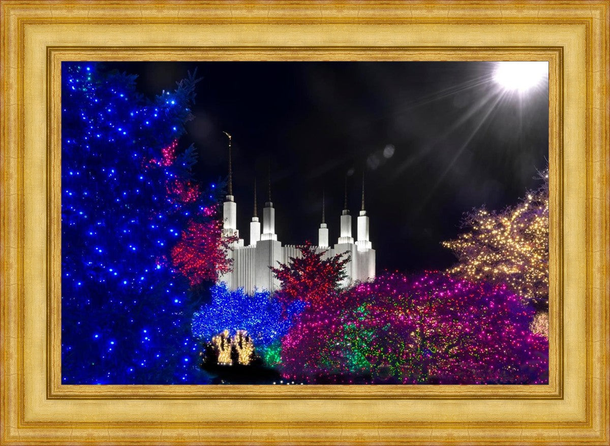 Washington DC Temple Christmas Spirit