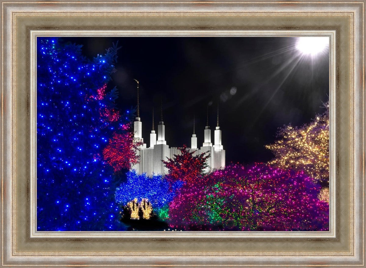 Washington DC Temple Christmas Spirit