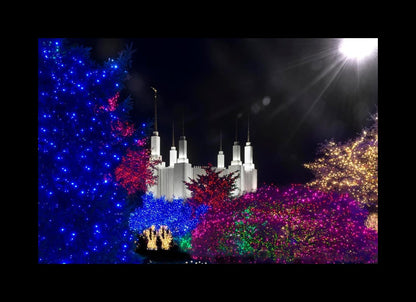 Washington DC Temple Christmas Spirit