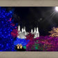 Washington DC Temple Christmas Spirit