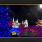 Washington DC Temple Christmas Spirit